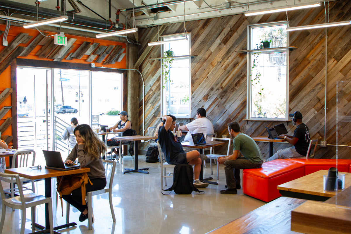 photo of people sitting and drinking coffee in the chromatic cae. there is a lot of ambient light pouring in through the windows.