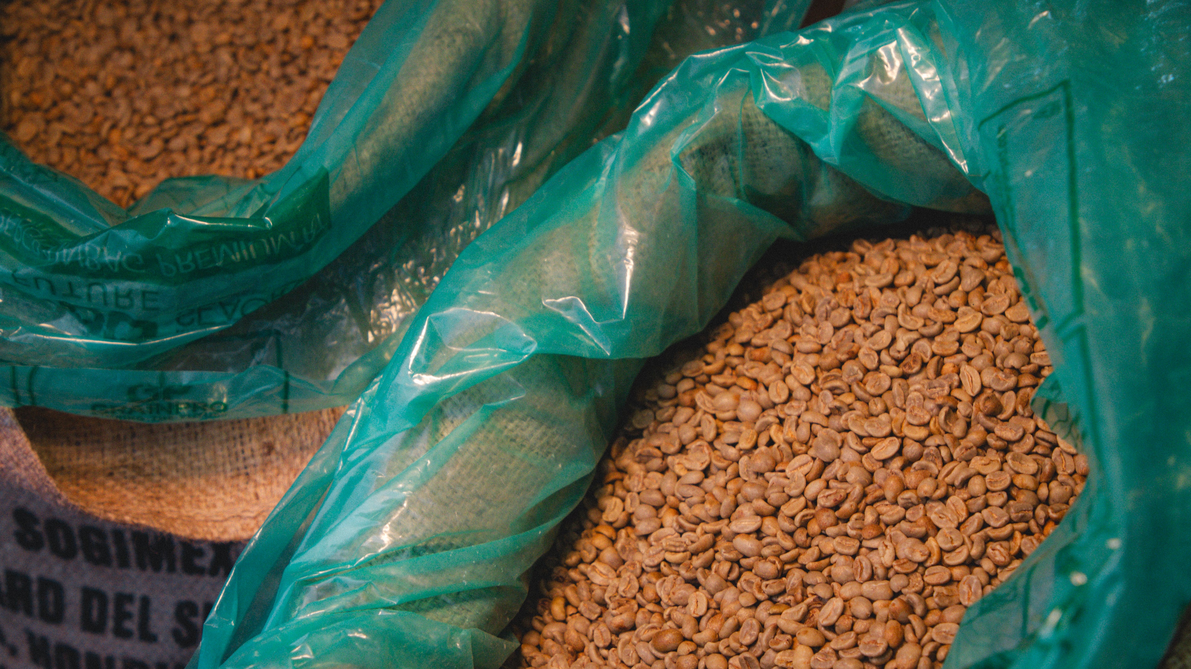Raw coffee beans in large sacks lined with green plastic, ready for roasting or packaging.