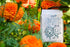 Heart's Delight-Coffee-Chromatic Coffee-Heart's Delight-Coffee-Chromatic Coffee-Heart's Delight-Coffee-Chromatic Coffee-Heart's Delight-Coffee-Chromatic Coffee-Heart's Delight-Coffee-Chromatic Coffee-Heart's Delight-Coffee-Chromatic Coffee-Heart's Delight-Coffee-Chromatic Coffee-Heart's Delight-Coffee-Chromatic Coffee-Heart's Delight-Coffee-Chromatic Coffee-Heart's Delight-Coffee-Chromatic Coffee-Heart's Delight-Coffee-Chromatic Coffee-Heart's Delight-Coffee-Chromatic Coffee-Heart's Delight-Coffee-Chromatic