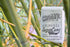 Sugarcane Decaf-Chromatic Coffee-Bag of Chromatic Coffee Colombia SugarCane Decaf among green bamboo stalks.