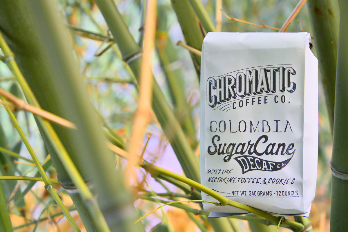 Sugarcane Decaf-Chromatic Coffee-Bag of Chromatic Coffee Colombia SugarCane Decaf among green bamboo stalks.
