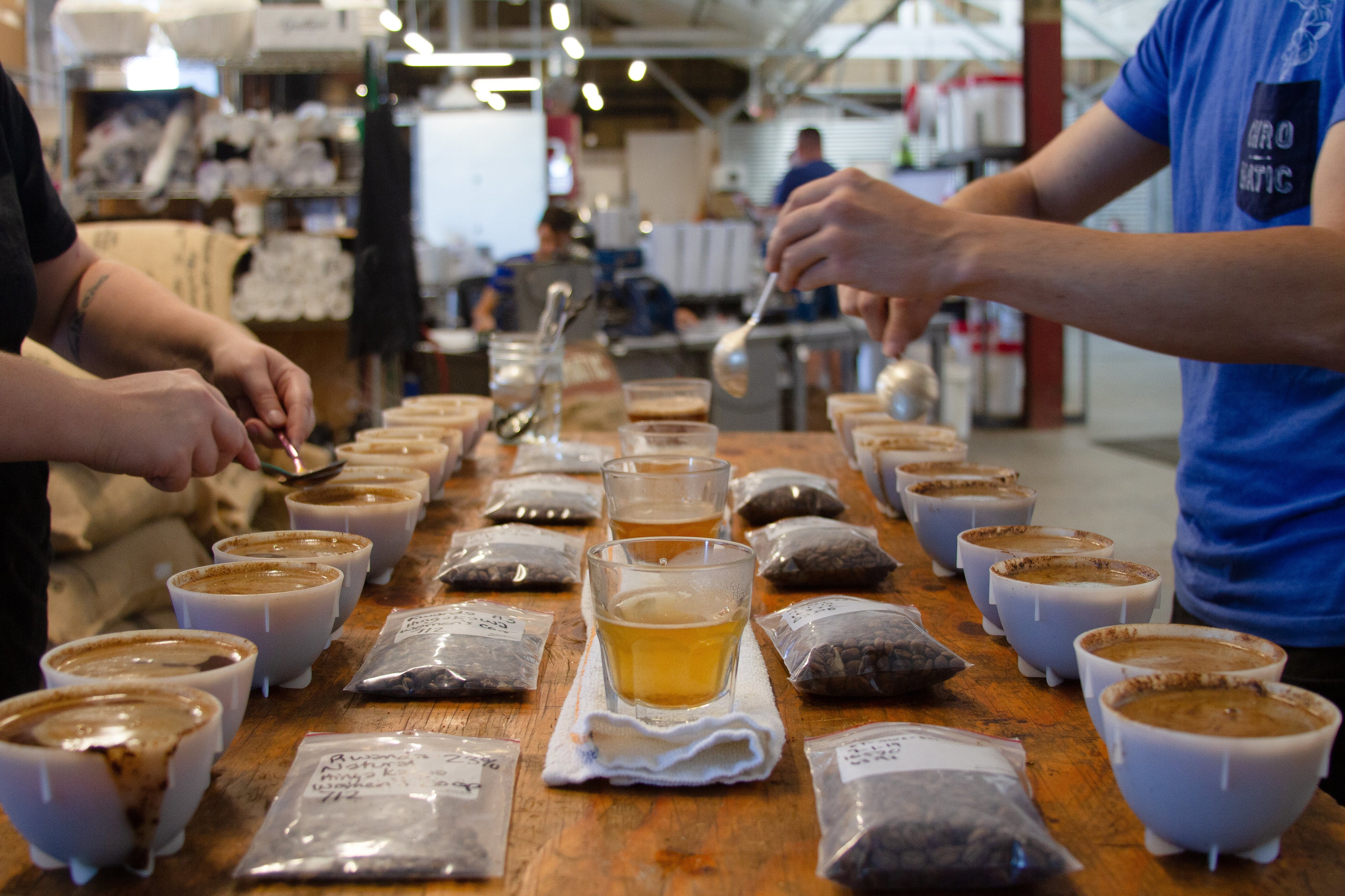 A table set up for a coffee tasting event with various bags of coffee and cups prepared for brewing.