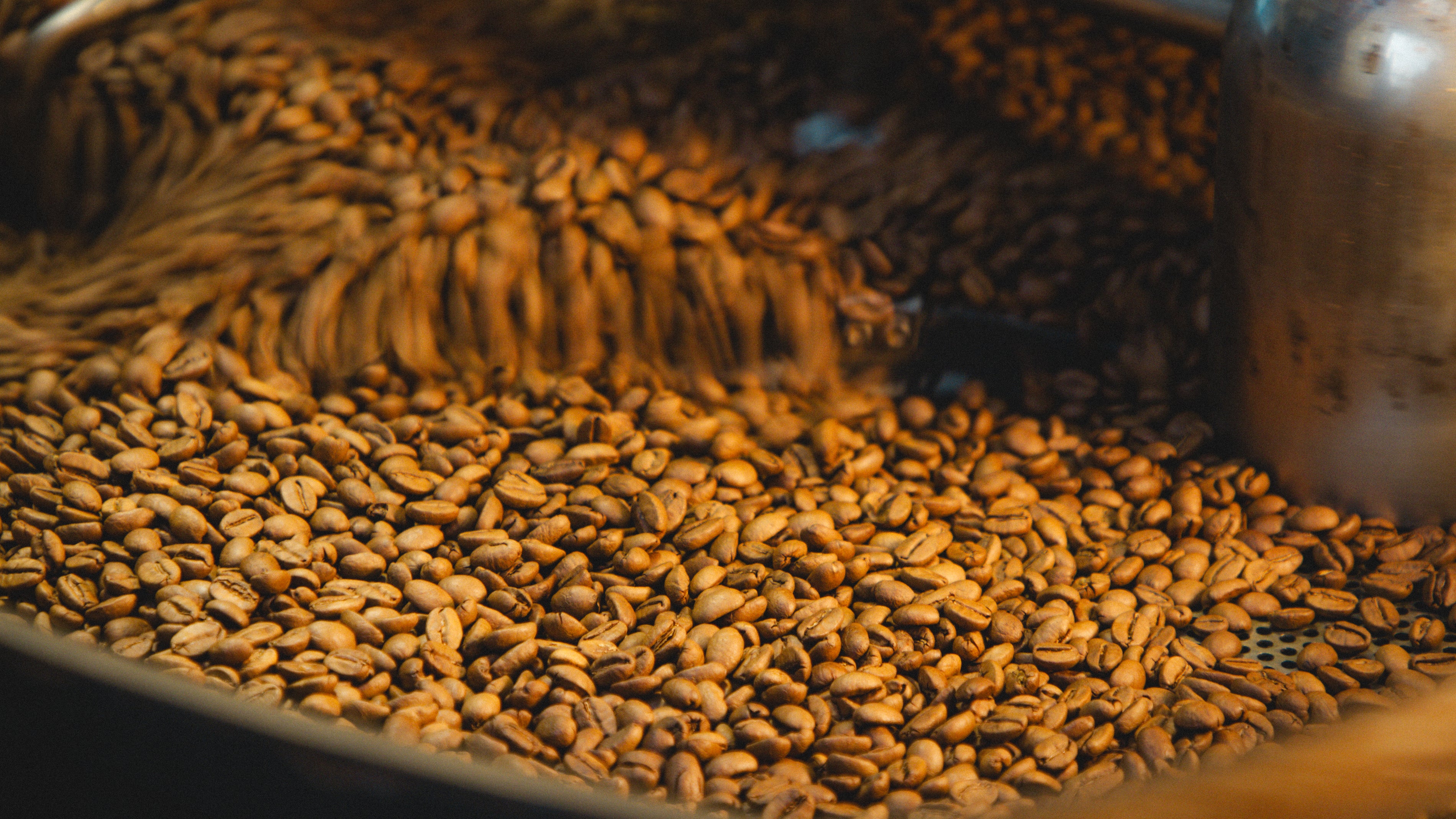 Freshly roasted coffee beans being stirred in a roasting machine.
